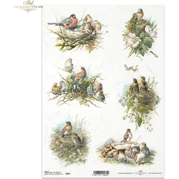 Umělecký papír Rýžový papír A4- R0857