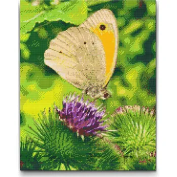 Diamantové malování Diamantové malování - Motýl sedící na květině Velikost: 40x50cm, Rámování: Pouze srolované plátno, Diamanty: Čtvercové