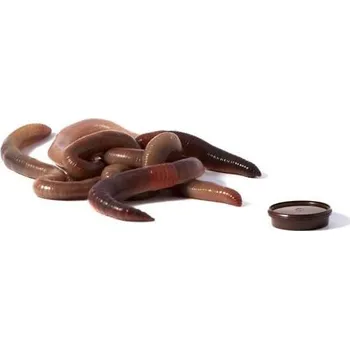 Návnadová surovina ABOS ROUSNICE 10ks