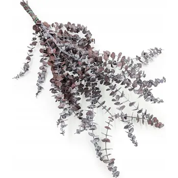 umělá květina Eukalyptus Baby - Stabilizovaný eukalyptus - Červený