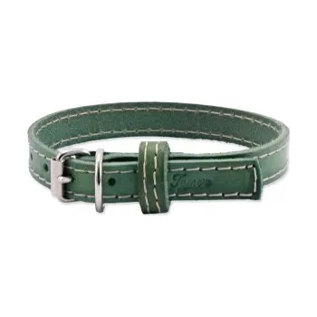 Obojek pro psa Obojek TAMER kožený zelený, šíře 1,4 cm, délka 30 cm