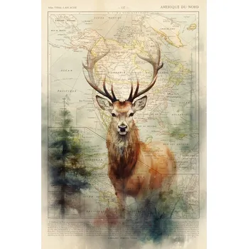 Plakát Plakát, Obraz - Deer, Thomas Chedeville