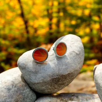 Náušnice art-wood.cz Náušnice pecky - javor