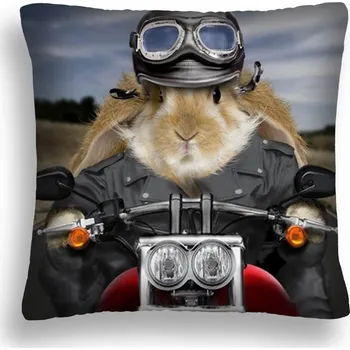 Polštář MOTOROVÝ POLŠTÁŘ 24 HARRY CHOPPER HELMOVÉ BRÝLE POLŠTÁŘ 60x60