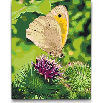 Malování podle čísel - Motýl sedící na květině Velikost: 30x40cm, Rámování: Pouze srolované plátno