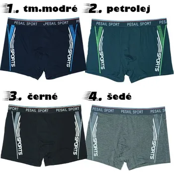 Pánské spodní prádlo Pánské trenkoslipy Pesail T0219