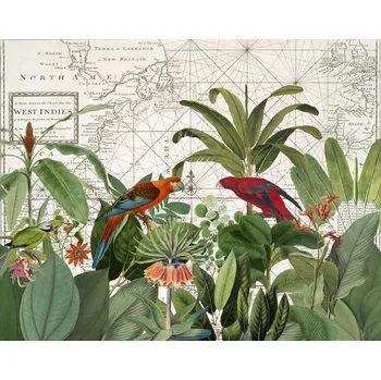 Plakát Plakát, Obraz - Exotic Wildlife 006, Andrea Haase