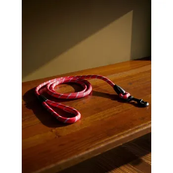 Vodítko pro psa Sinsay - Vodítko pro psa - červená - 464FU-33X - 464FU-33X-ONE