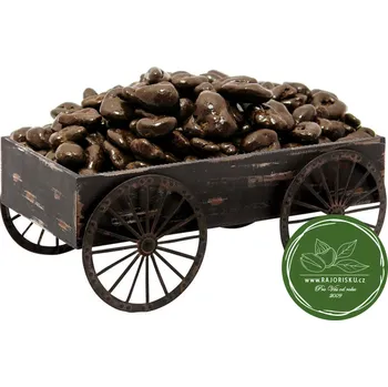 Sušená potravina Brusinky (klikva) v hořké čokoládě