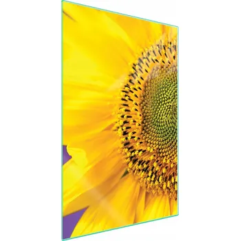 Obraz Krájecí deska TMK ArtDeko sklo 1 ks