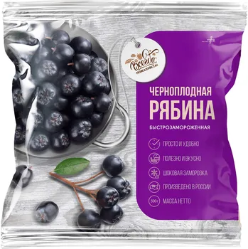 Ovoce Temnoplodec černoplodý mražený 300g