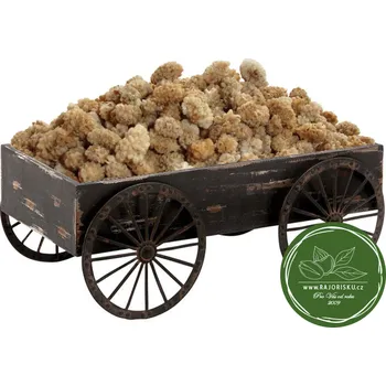 Sušená potravina Moruše sušená - nesířená