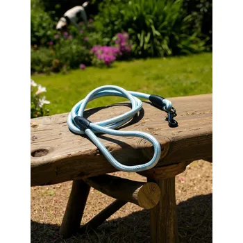 Vodítko pro psa Sinsay - Vodítko pro psa - světle modrá - 464FU-50X - 464FU-50X-ONE