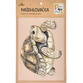 Textilní nažehlovací páska Lesní svět Nažehlovačka M 085 - Želva ostruhatá