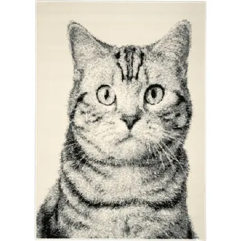 Koberec Kusový koberec Cat grey 190x280 cm