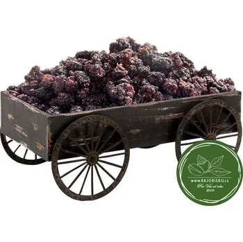 Sušená potravina Moruše černá sušená - nesířená