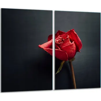 Obraz SKLENĚNÁ DESKA NA KRAJENÍ 2x30x52 RŮŽE Tvrzené Sklo KUCHYŇSKÁ 7v1