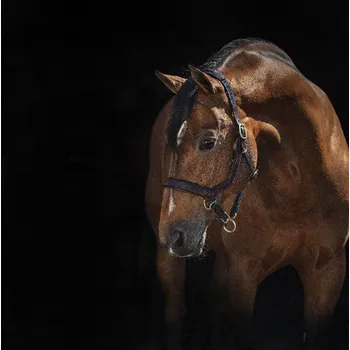 Rambo Micklem VÝPRODEJ: Ohlávka kožená Rambo Micklem, EXTRA FULL, hnědá