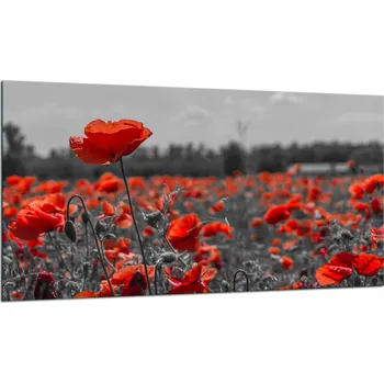 Obraz SKLENĚNÁ OCHRANNÁ DESKA NA SPORÁK 90X52 KVĚTINY