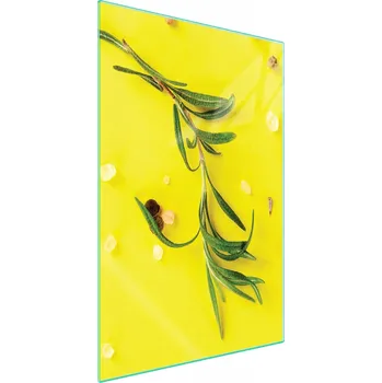 Obraz Krájecí deska TMK ArtDeko sklo 1 ks