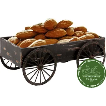 Sušená potravina Mandle natural