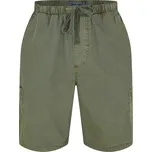 Kraťasy Jack Wills Smokey Olive 1096807 S