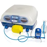 Borotto Real 49 Expert