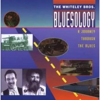 Zahraniční hudba CD Whiteley Brothers: Bluesology 2017
