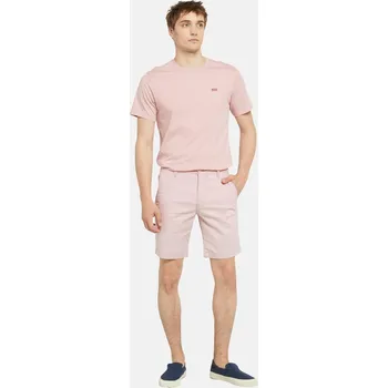 Pánské kraťasy Kraťasy Levis Violet Ice 1096800 30W R