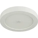 GLOBO 41605-18S - LED Venkovní stropní svítidlo se senzorem PAULA LED/18W/230V