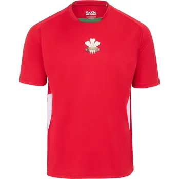 Pánské tričko Tričko KooGa Wales 1095107 Medium