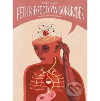 Beletrie pro dospělé Darllen yn Well: Peth Rhyfedd yw Gorbryder - Steve Haines, Sophie Standing