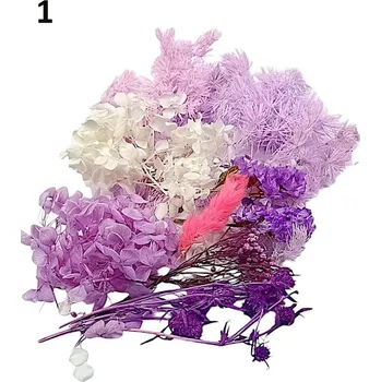 Sada sušených květin do pryskyřice v krabičce Druh: 1