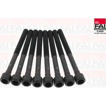 Spojovací materiál motoru Sada šroubů hlavy válce FAI B2301