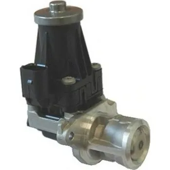 Ventil palivového systému AGR-Ventil MAGNETI MARELLI 571822112072