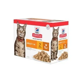 Hill's Fel. SP Adult Chicken&Turkey kapsa 12x85g