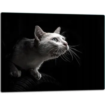 Kuchyňské prkénko Krájecí deska TMK ArtDeko sklo 1 ks