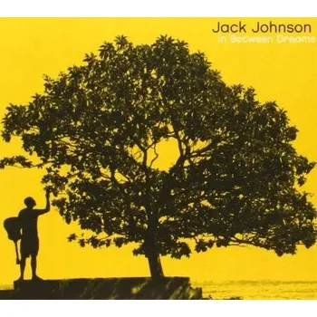 Zahraniční hudba In Between Dreams Jack Johnson CD