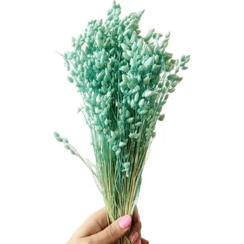 umělá květina Sušená třesavá tráva Briza mentolová svazek