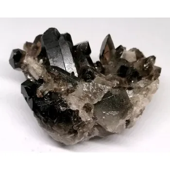 Záhněda drůza velká, AA kvalita 287 g