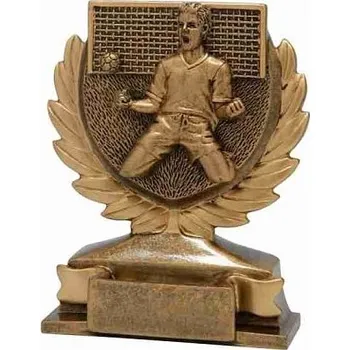 Plaketa s motivem FG149 Fotbal (FG149)