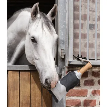 Krmivo pro koně Waldhausen Horse toy champagne bottle