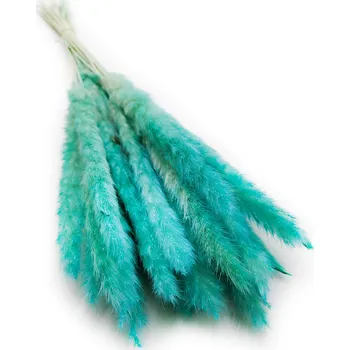 mech-mech.cz Sušená Pampová tráva MINI - Azurová