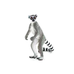 Mojo Fun MJ387177 Lemur kata