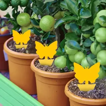 Přípravek proti hmyzu Lapače hmyzu – lepící motýl