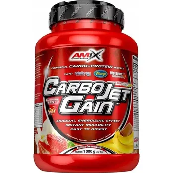 Gainer v prášku s vanilkovou příchutí Amix 1000 g