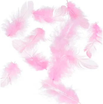 Lapač snů Peříčka Titanum 10 g - růžová neon