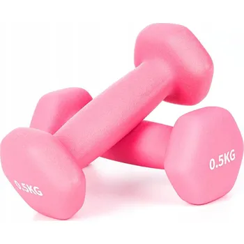 Sada litinových závaží činky jednoručky 2x0,5kg molti