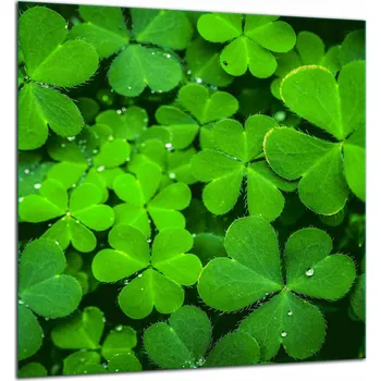 Kuchyňské prkénko SKLENĚNÁ OCHRANNÁ DESKA / PANEL S LEPIDLEM 60x65 ZELENÁ Tvrzené Sklo do Kuchyně 7v1