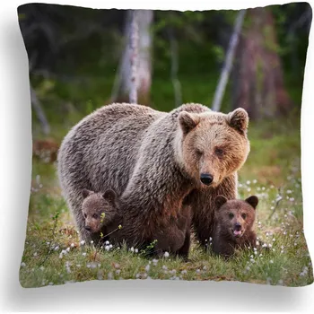 Polštář POLŠTÁŘ VELKÁ MEDVĚDICE A MALÁ MEDVÍĎATA ZW 03 60x60